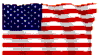 USflag Logo